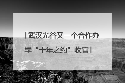 武汉光谷又一个合作办学“十年之约”收官