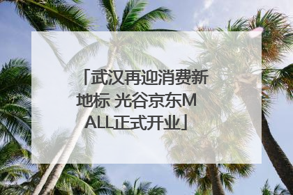 武汉再迎消费新地标 光谷京东MALL正式开业