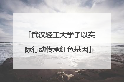 武汉轻工大学子以实际行动传承红色基因
