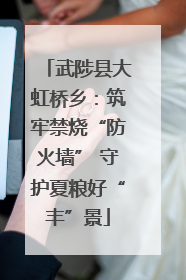 武陟县大虹桥乡：筑牢禁烧“防火墙” 守护夏粮好“丰”景