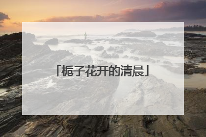 栀子花开的清晨