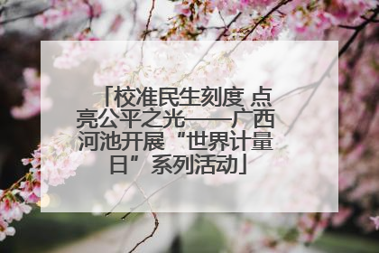 校准民生刻度 点亮公平之光——广西河池开展“世界计量日”系列活动