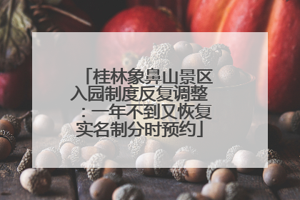 桂林象鼻山景区入园制度反复调整：一年不到又恢复实名制分时预约
