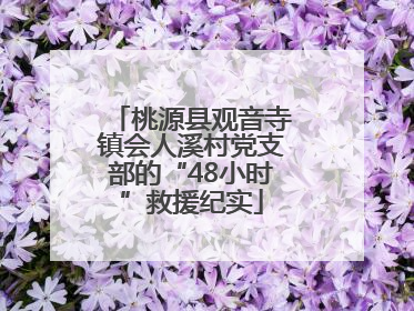桃源县观音寺镇会人溪村党支部的“48小时”救援纪实