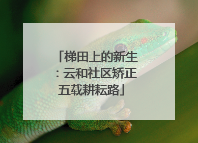 梯田上的新生：云和社区矫正五载耕耘路