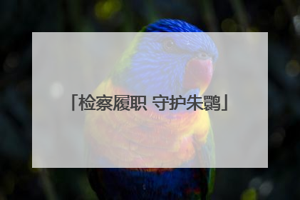 检察履职 守护朱鹮