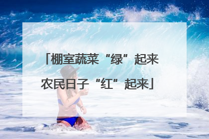 棚室蔬菜“绿”起来 农民日子“红”起来