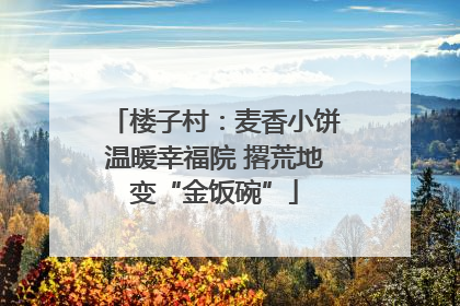 楼子村：麦香小饼温暖幸福院 撂荒地变“金饭碗”