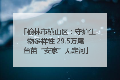 榆林市横山区：守护生物多样性 29.5万尾鱼苗“安家”无定河