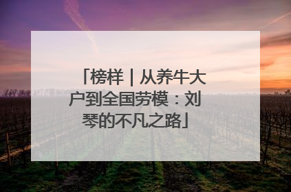 榜样｜从养牛大户到全国劳模：刘琴的不凡之路