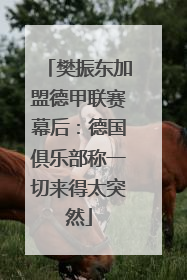 樊振东加盟德甲联赛幕后：德国俱乐部称一切来得太突然
