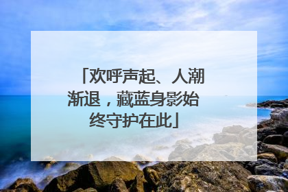 欢呼声起、人潮渐退，藏蓝身影始终守护在此