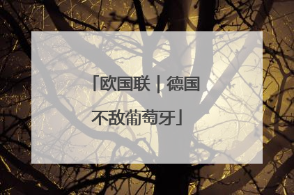 欧国联｜德国不敌葡萄牙