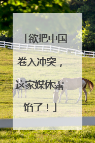 欲把中国卷入冲突，这家媒体露馅了！