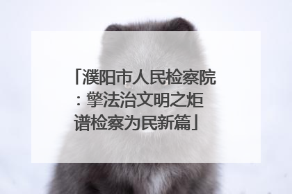 濮阳市人民检察院：擎法治文明之炬 谱检察为民新篇