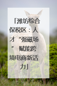 潍坊综合保税区：人才“强磁场” 赋能跨境电商新活力
