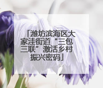 潍坊滨海区大家洼街道“三包三联”激活乡村振兴密码