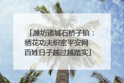 潍坊诸城石桥子镇：绣花功夫织密平安网 百姓日子越过越踏实