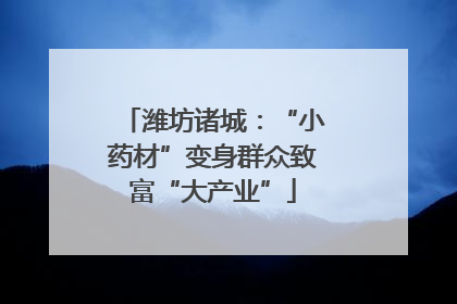 潍坊诸城：“小药材”变身群众致富“大产业”
