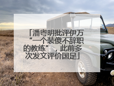 潘粤明批评伊万“一个装傻不辞职的教练”，此前多次发文评价国足