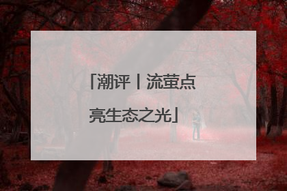 潮评丨流萤点亮生态之光