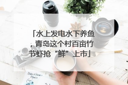 水上发电水下养鱼，青岛这个村百亩竹节虾抢“鲜”上市