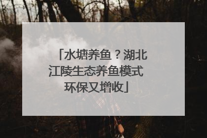 水塘养鱼？湖北江陵生态养鱼模式环保又增收