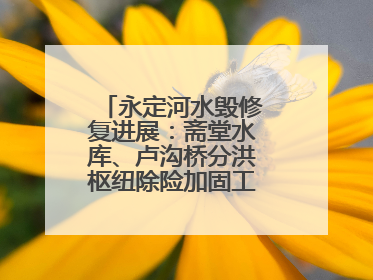 永定河水毁修复进展：斋堂水库、卢沟桥分洪枢纽除险加固工程通过验收