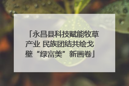 永昌县科技赋能牧草产业 民族团结共绘戈壁“绿富美”新画卷