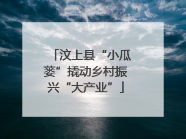 汶上县“小瓜蒌”撬动乡村振兴“大产业”