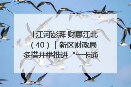江河澎湃 财惠江北（40）｜新区财政局多措并举推进“一卡通”管理 保障惠民惠农补贴精准高效发放