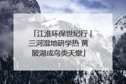 江淮环保世纪行｜三河湿地研学热 黄陂湖成鸟类天堂