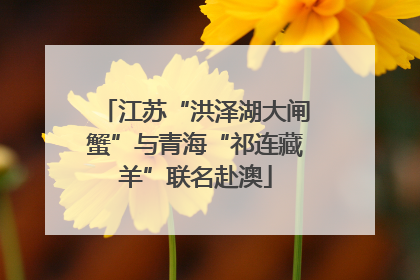 江苏“洪泽湖大闸蟹”与青海“祁连藏羊”联名赴澳