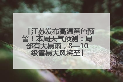 江苏发布高温黄色预警！本周天气预测：局部有大暴雨，8—10级雷暴大风将至