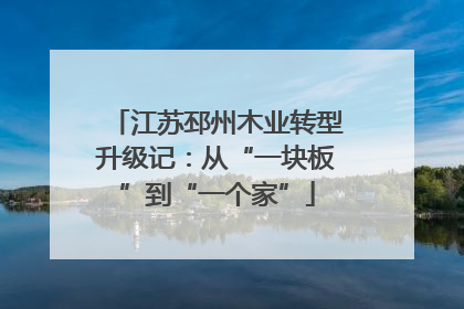 江苏邳州木业转型升级记：从“一块板”到“一个家”