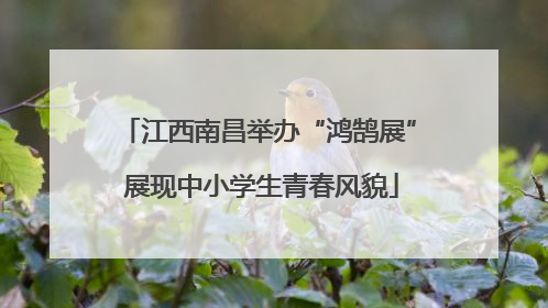 江西南昌举办“鸿鹄展” 展现中小学生青春风貌