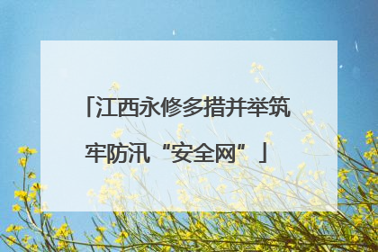 江西永修多措并举筑牢防汛“安全网”