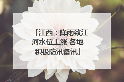 江西：降雨致江河水位上涨 各地积极防汛备汛