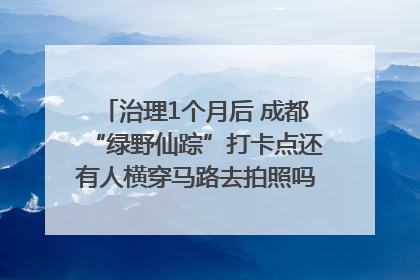治理1个月后 成都“绿野仙踪”打卡点还有人横穿马路去拍照吗？｜民情瞭望