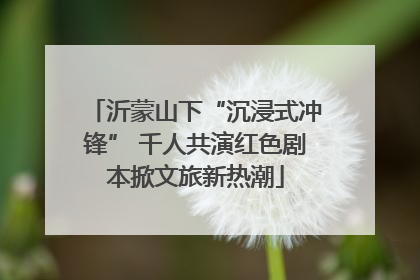 沂蒙山下“沉浸式冲锋” 千人共演红色剧本掀文旅新热潮