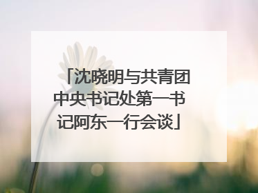 沈晓明与共青团中央书记处第一书记阿东一行会谈