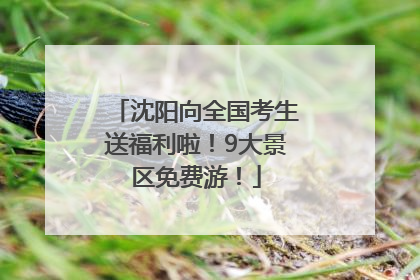 沈阳向全国考生送福利啦！9大景区免费游！