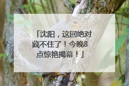 沈阳，这回绝对藏不住了！今晚8点惊艳揭幕！