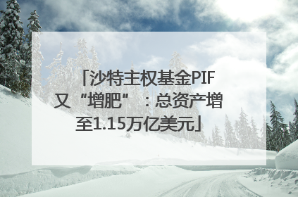 沙特主权基金PIF又“增肥”：总资产增至1.15万亿美元