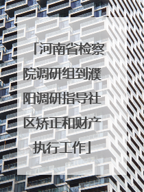 河南省检察院调研组到濮阳调研指导社区矫正和财产执行工作