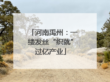 河南禹州：一缕发丝“织就”过亿产业