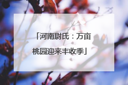 河南尉氏：万亩桃园迎来丰收季