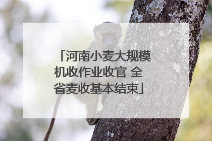 河南小麦大规模机收作业收官 全省麦收基本结束