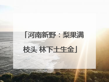 河南新野：梨果满枝头 林下土生金