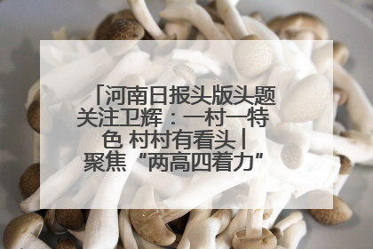 河南日报头版头题关注卫辉：一村一特色 村村有看头 ︳聚焦“两高四着力”·一“县”观察